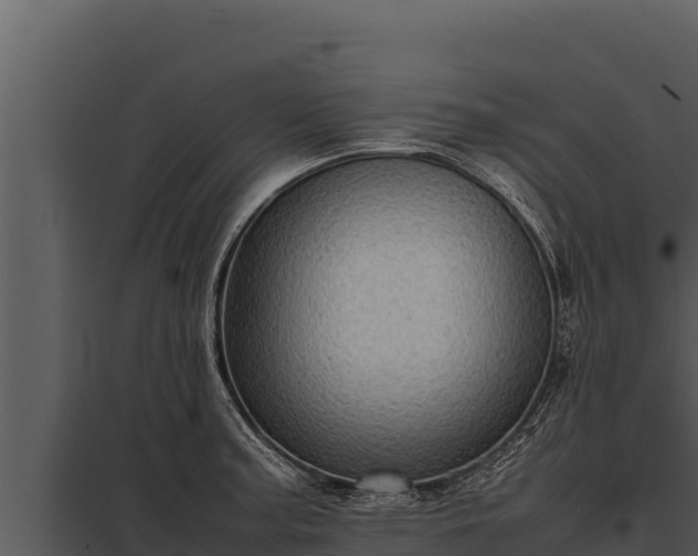 X0000097961187200804011651
