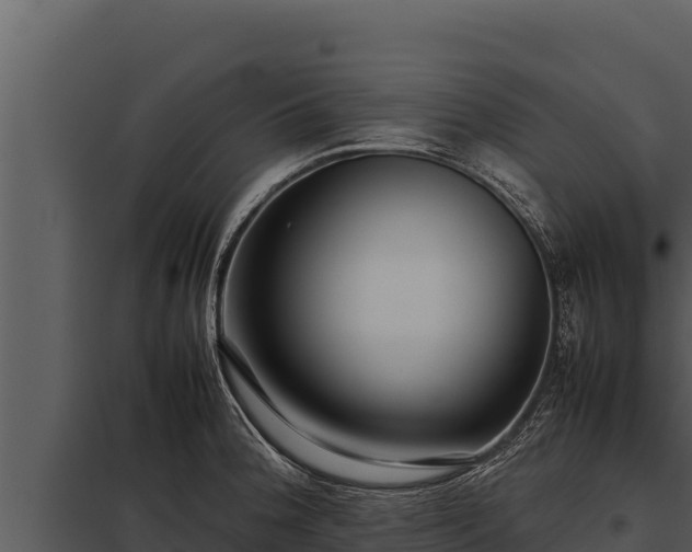 X0000097961188200804011651