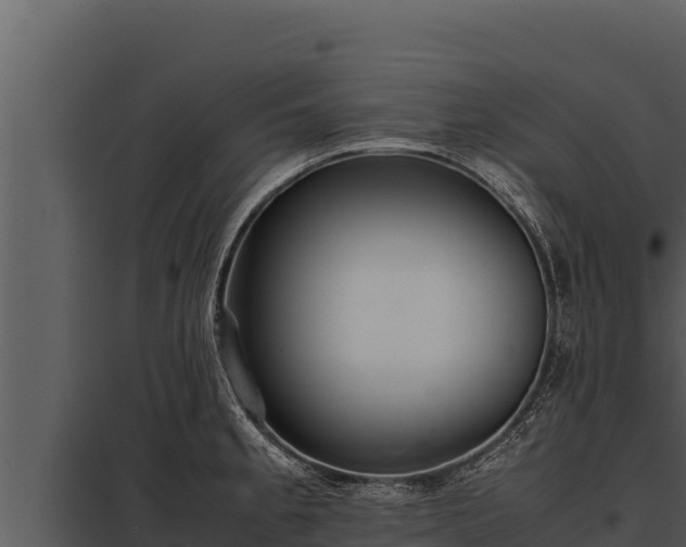 X0000097961189200804011651