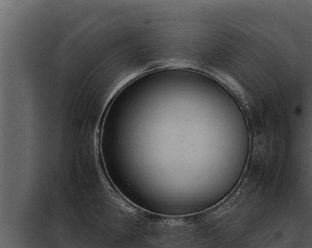 X0000097961190200804011651