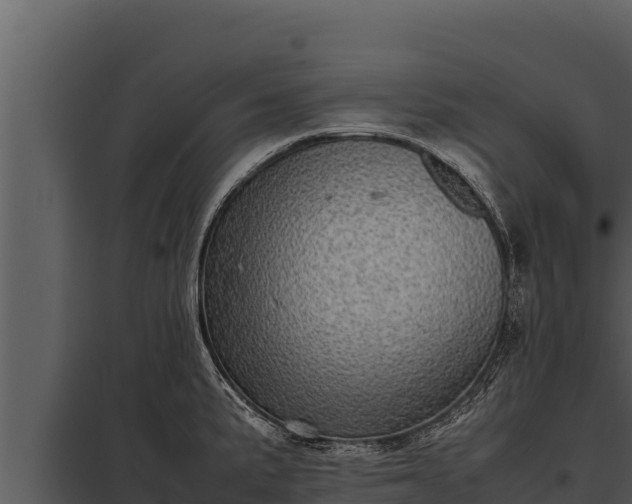 X0000097961191200804011651