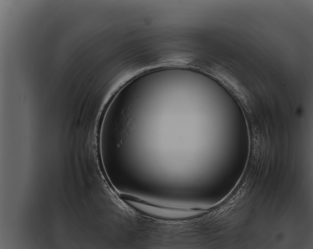 X0000097961192200804011651