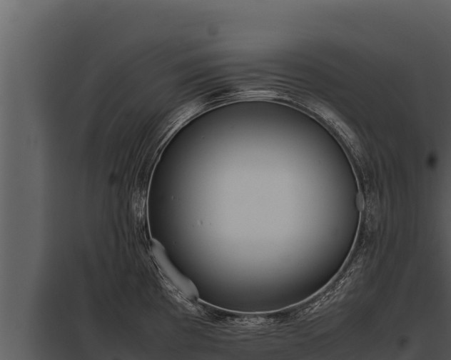 X0000097961193200804011651