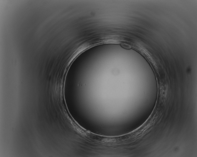 X0000097961194200804011651