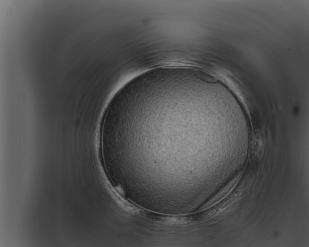 X0000097961195200804011651