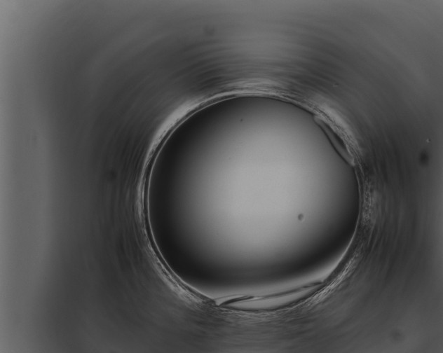 X0000097961196200804011651