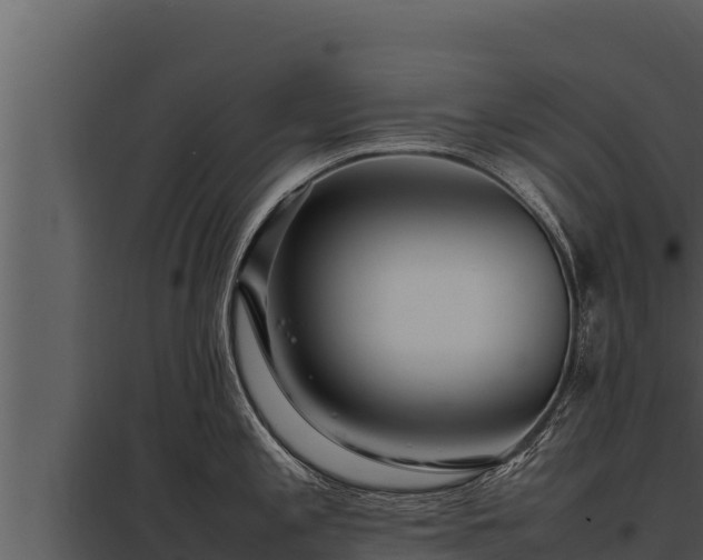 X0000097961197200804011651