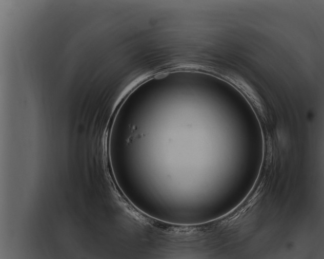 X0000097961198200804011651