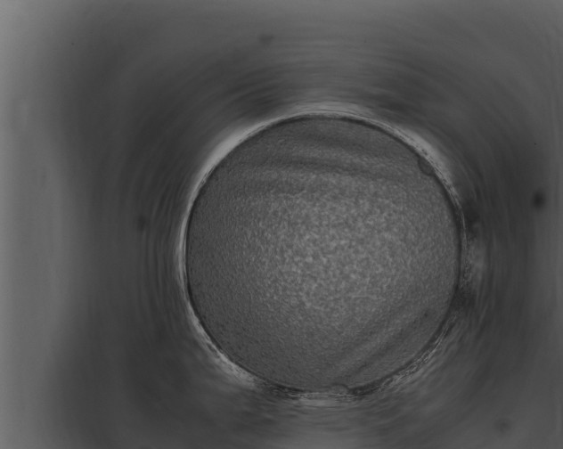 X0000097961199200804011651