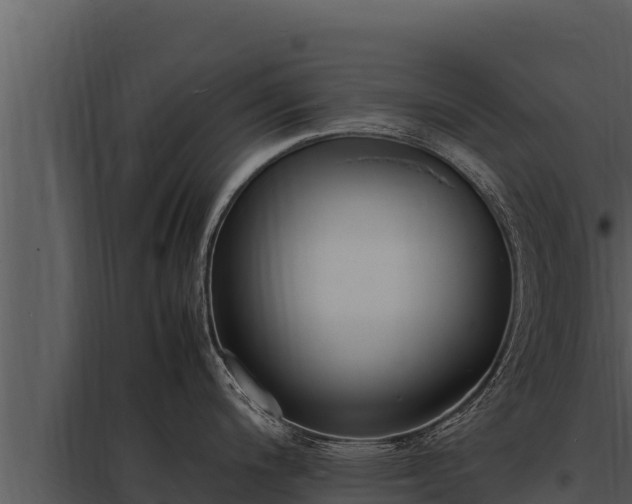 X0000097961200200804011651