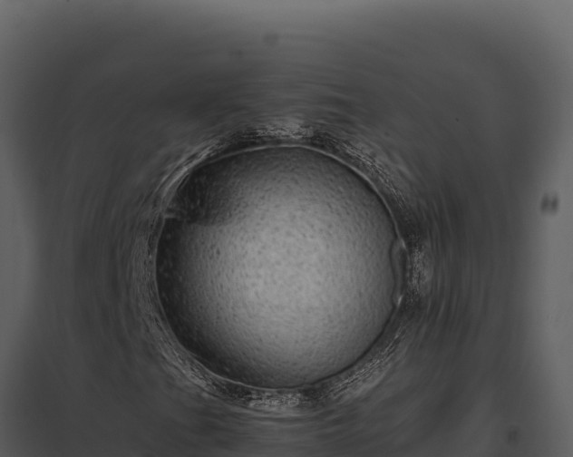 X0000097961201200804011650