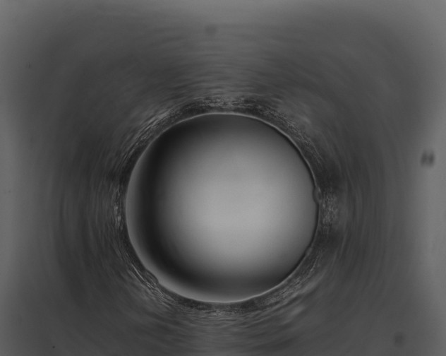 X0000097961202200804011650