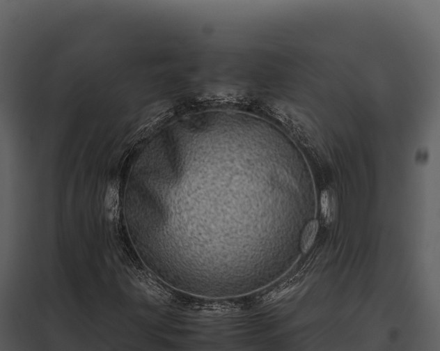 X0000097961203200804011650