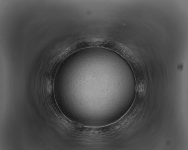 X0000097961204200804011650