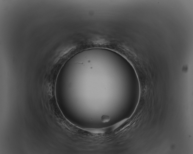X0000097961205200804011650