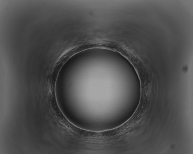 X0000097961206200804011650