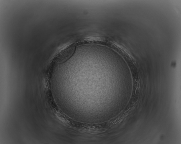 X0000097961207200804011650