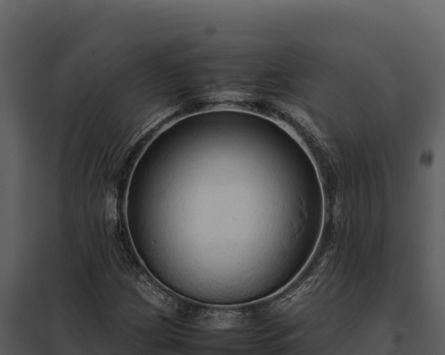 X0000097961209200804011650