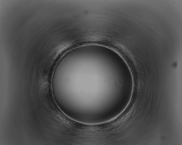 X0000097961210200804011650