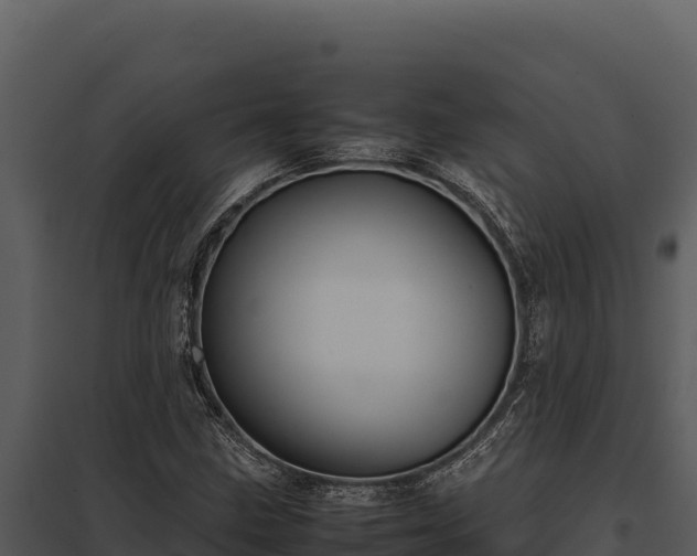 X0000097961211200804011650