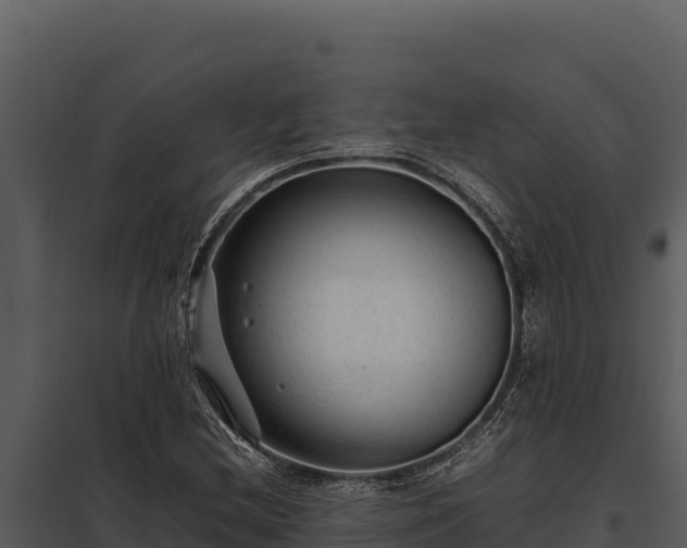 X0000097961212200804011650