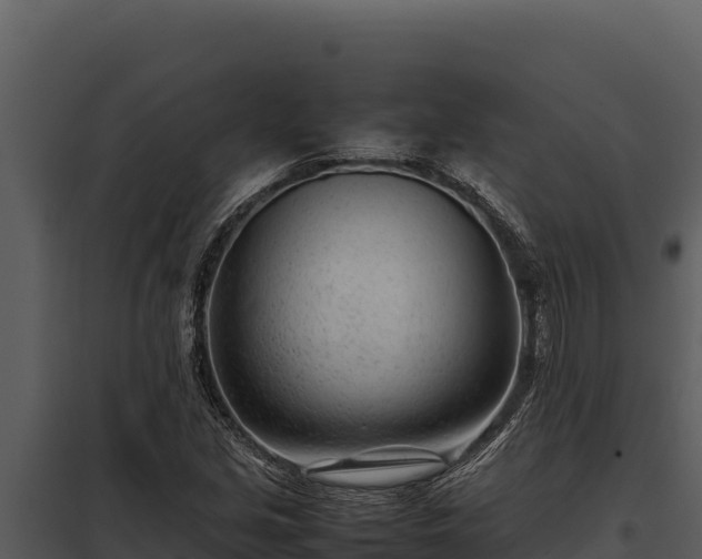 X0000097961213200804011650