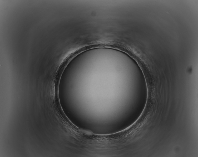 X0000097961214200804011650