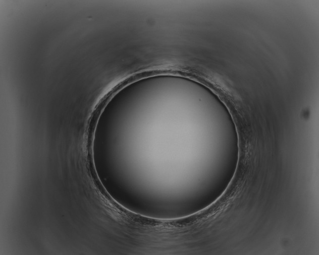 X0000097961216200804011650
