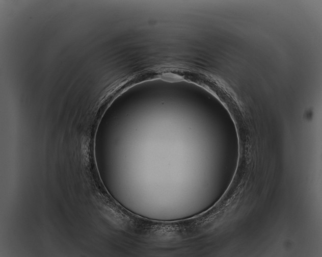 X0000097961217200804011650