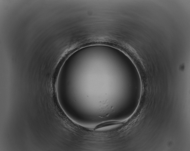 X0000097961218200804011650