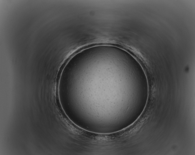 X0000097961220200804011650
