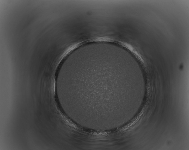 X0000097961221200804011650
