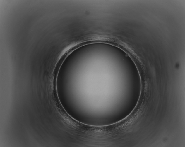 X0000097961222200804011650