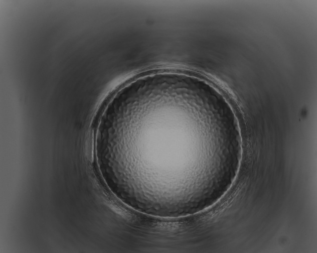 X0000097961223200804011650