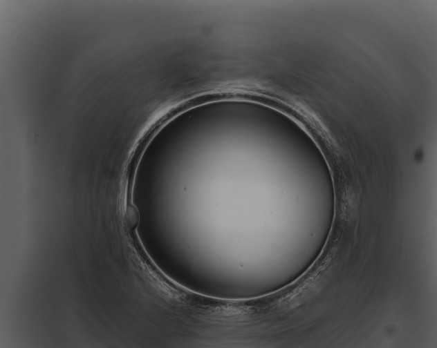 X0000097961224200804011650