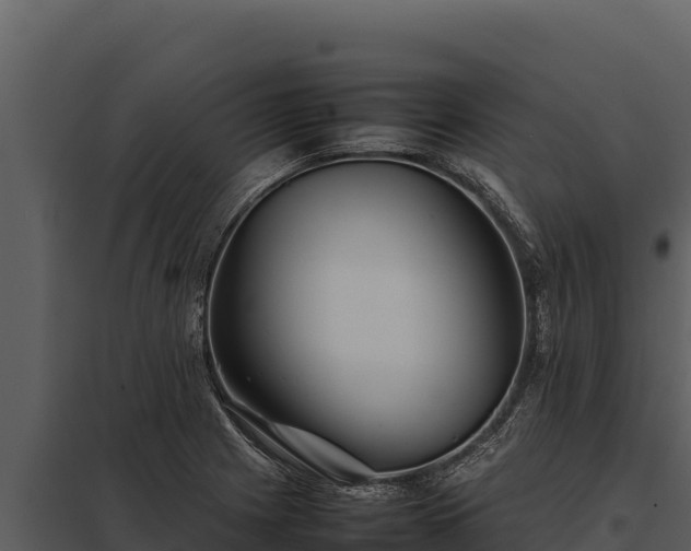 X0000097961225200804011650