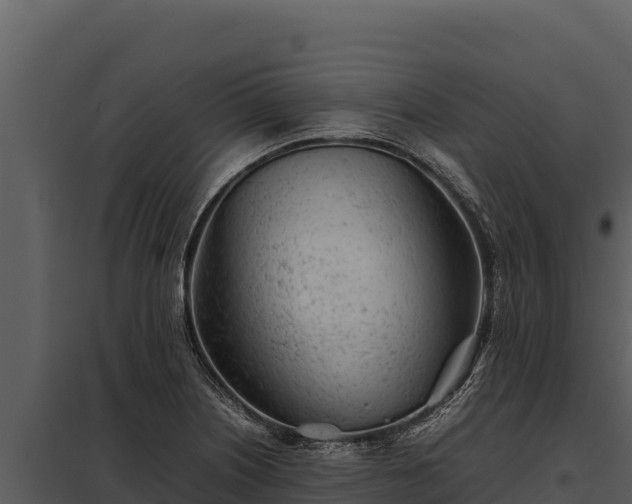 X0000097961226200804011650