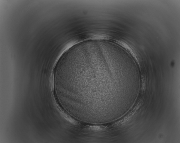 X0000097961227200804011650