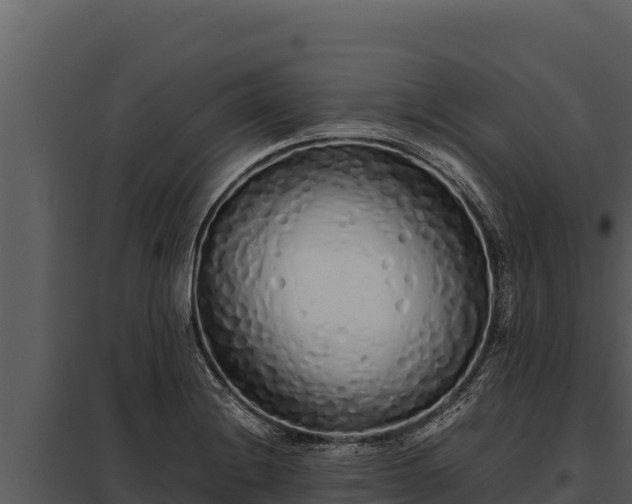 X0000097961228200804011650