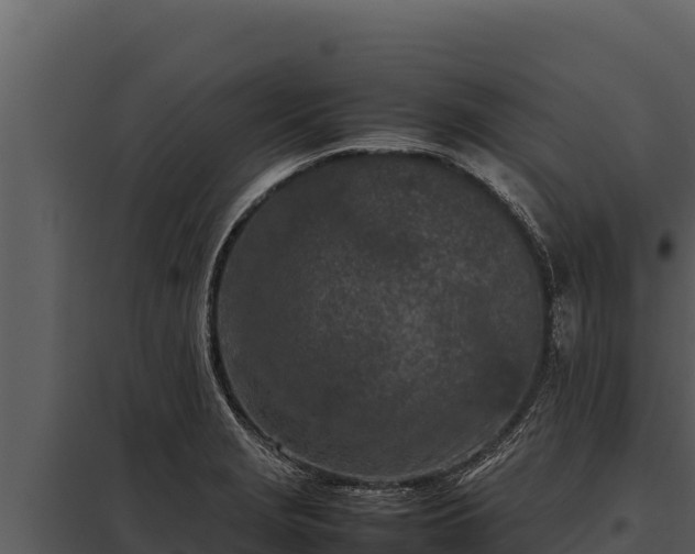 X0000097961229200804011650