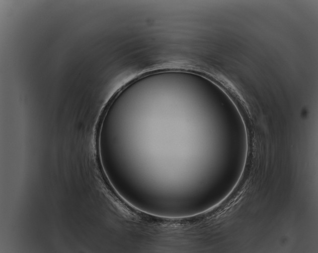 X0000097961230200804011650