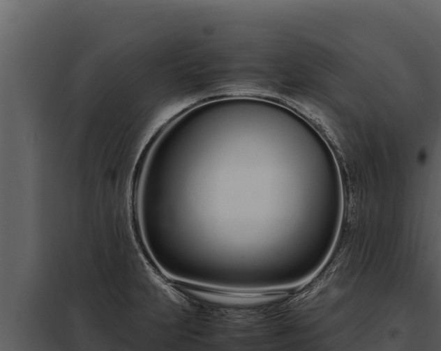 X0000097961231200804011650
