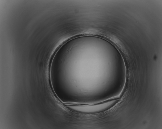 X0000097961232200804011650