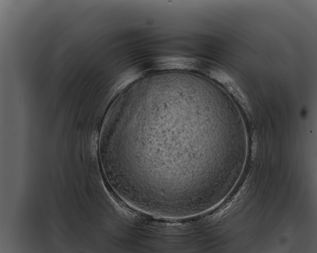 X0000097961233200804011650