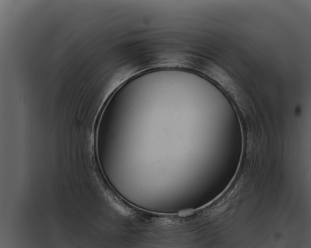 X0000097961234200804011650
