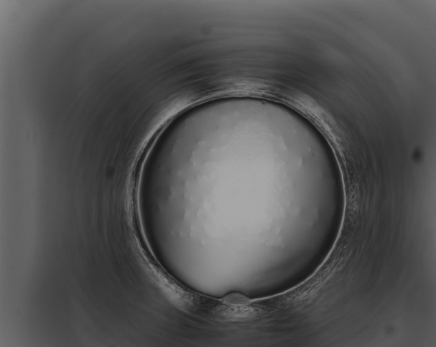 X0000097961235200804011650
