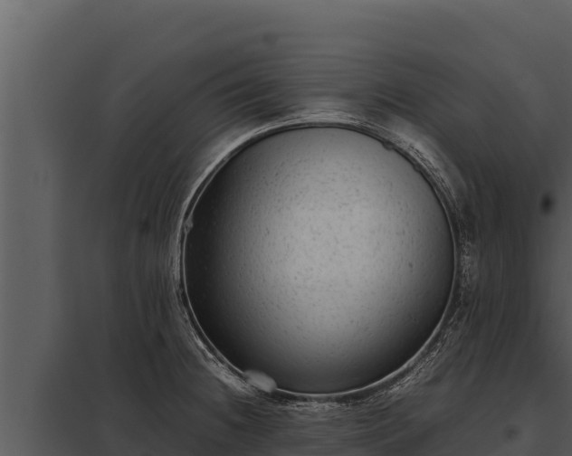 X0000097961236200804011650