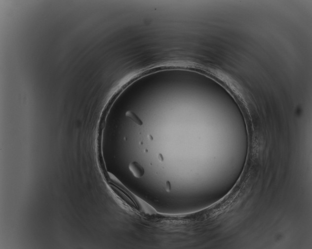 X0000097961237200804011650