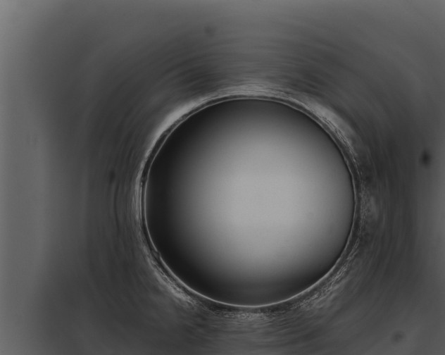 X0000097961238200804011650