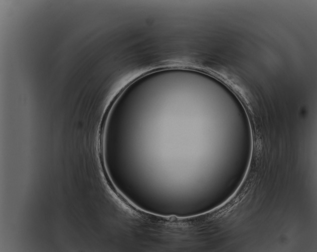 X0000097961239200804011650